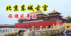 操逼插逼大鸡吧中国北京-东城古宫旅游风景区